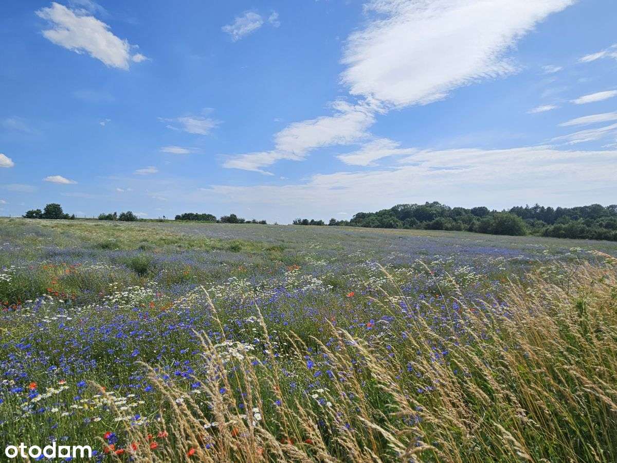 Twój nowy dom w Radzionkowie!-17