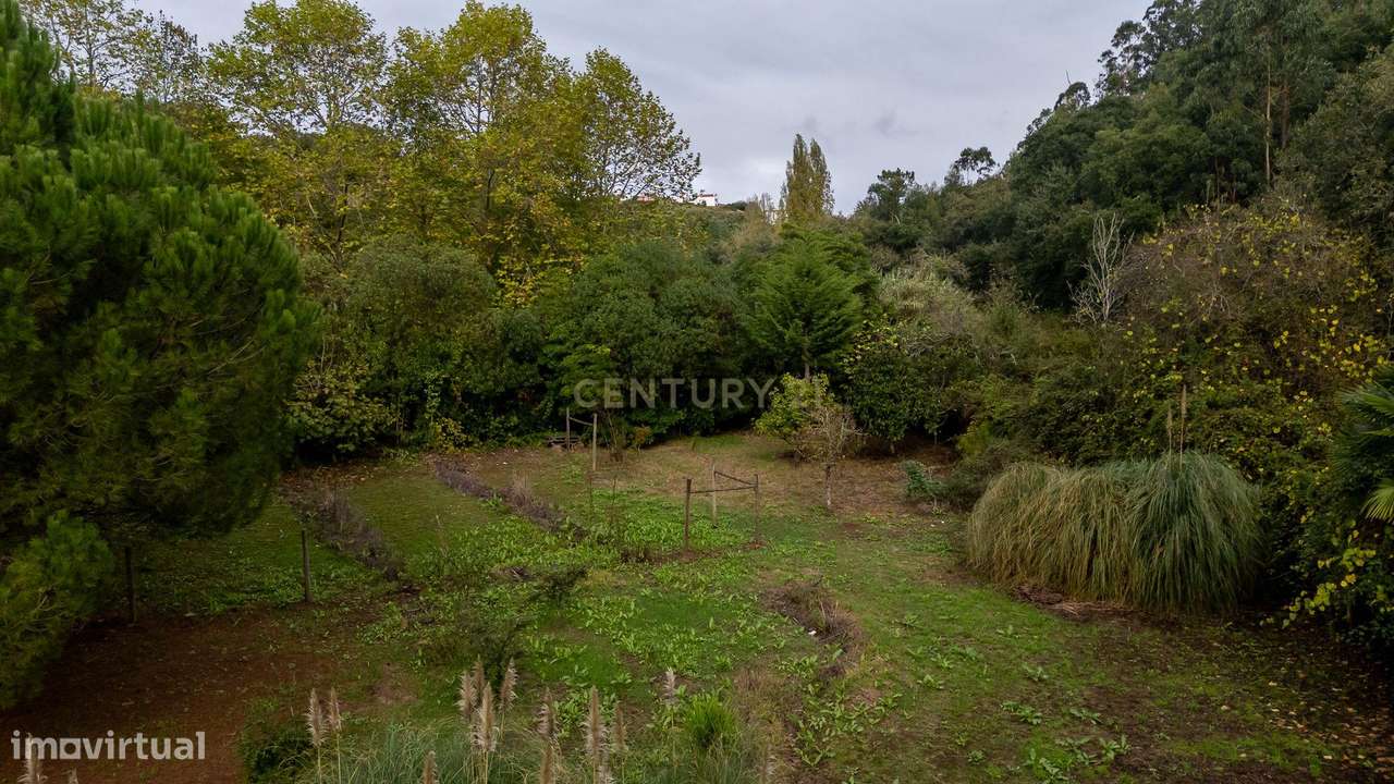 Moradia T4 com 5000m2 de Terreno - "Quinta do Sol"-49