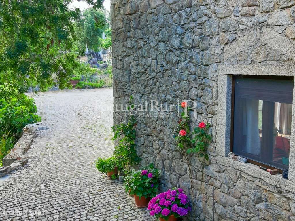 Quinta Rural 8.000 m2 - 2 Casas Habitáveis - confina com Ribeira-20