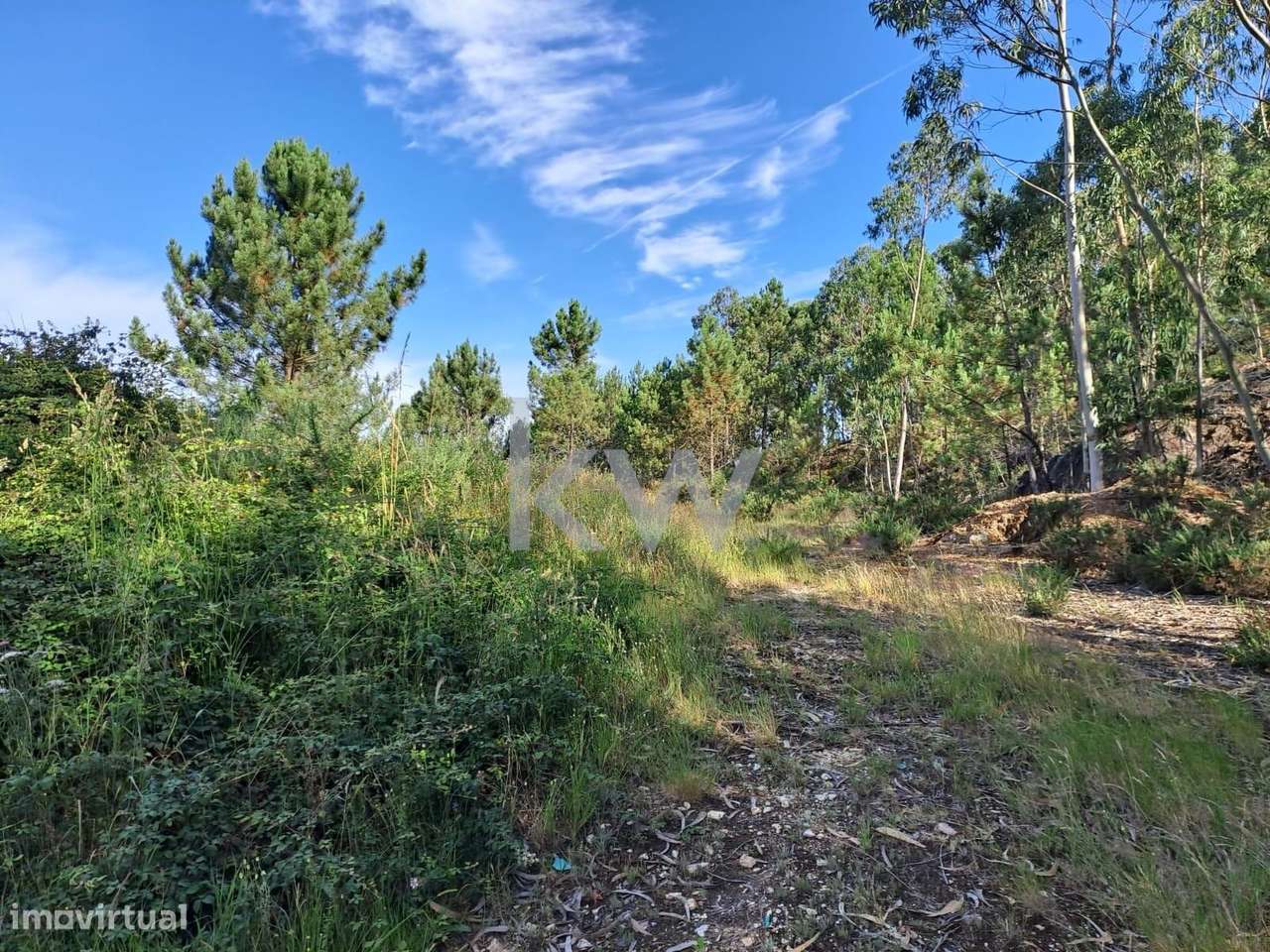 Terreno com 3.504 m2 em S. Roque - Grande imagem: 4/12