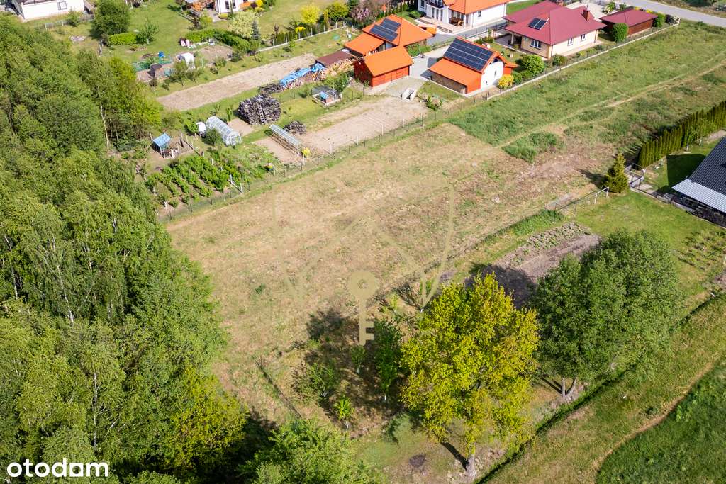 Duża działka z WZ przy lesie - Pełny obrazek: 5/10