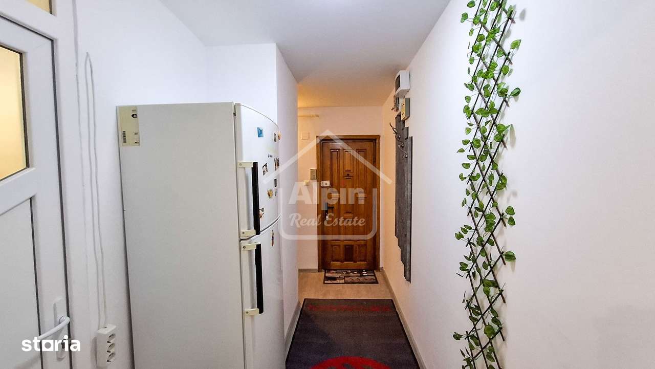 Suprafata Generoasa I Zona Gemenii-8