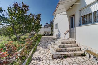 Terreno Único em Setúbal – Ideal para Produtores de Vinho e Agro turis - Grande imagem: 5/42