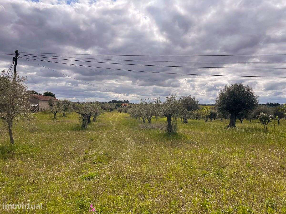 Terreno - Grande imagem: 5/5