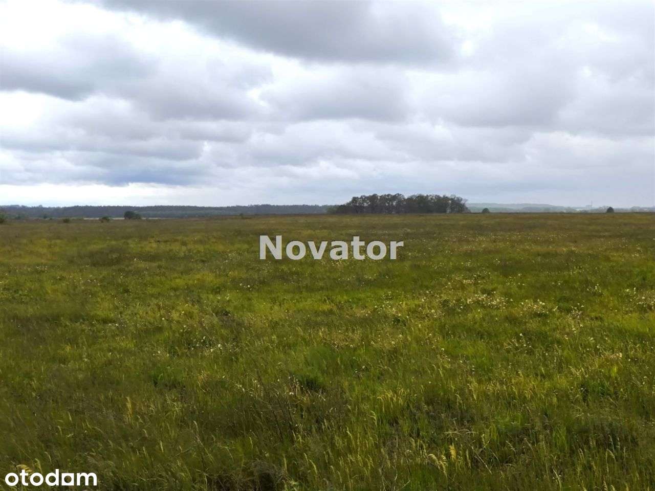 Nowa oferta, okazja. Działki w pobliżu Bydgoszczy! - Pełny obrazek: 5/5