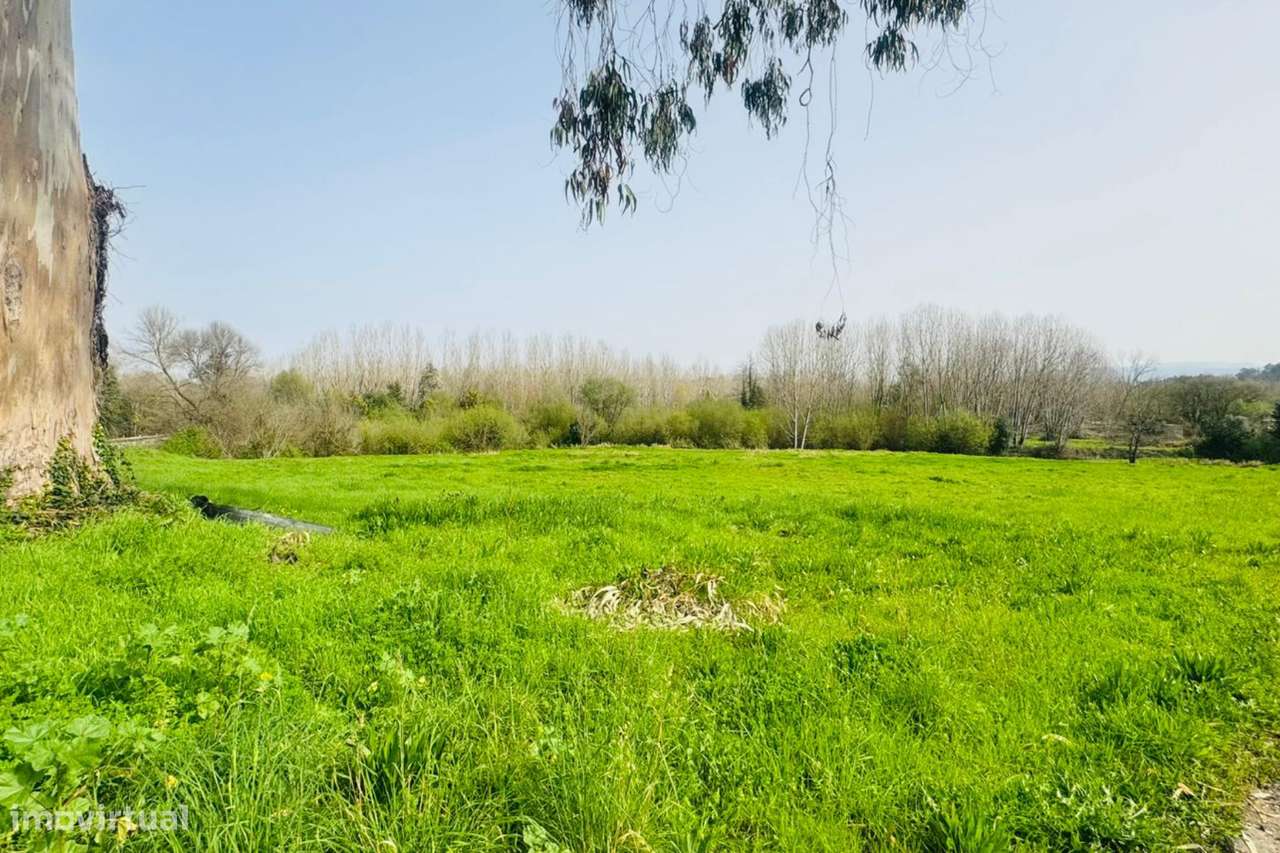Terreno para construção em Aguada de Cima - Águeda-16