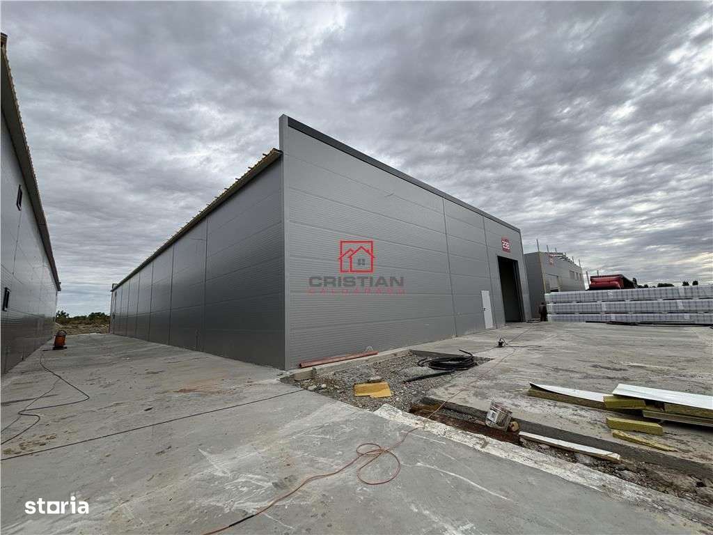 Vanzare depozithalaspatiu industrial Chiajna - Chitila - Rudeni - Imagine principală: 5/5