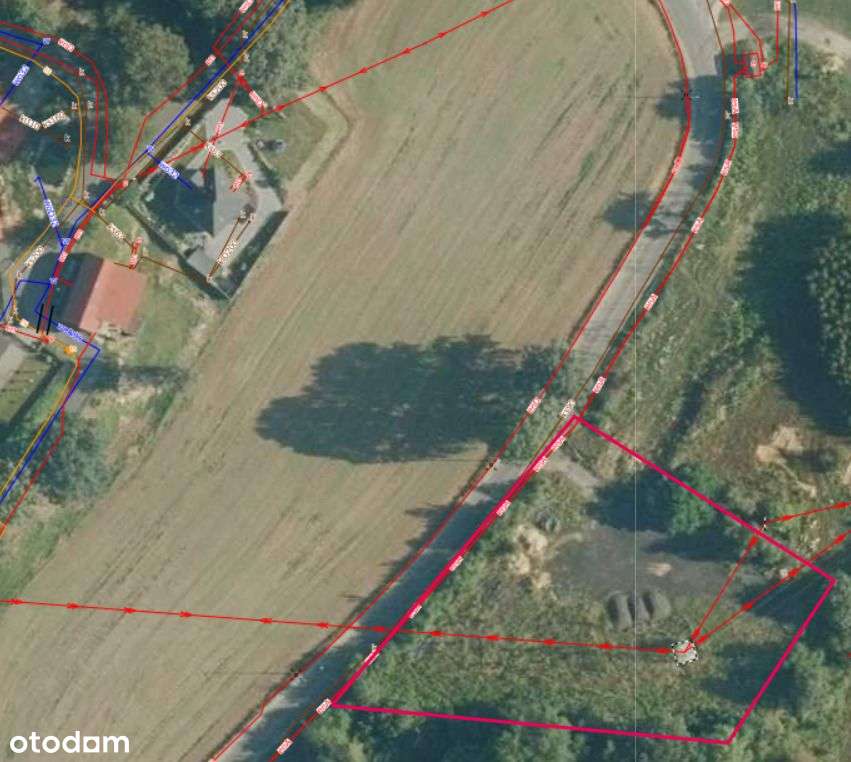 Wyjątkowa działka inwestycyjna w Bolesławicach! - Pełny obrazek: 4/9