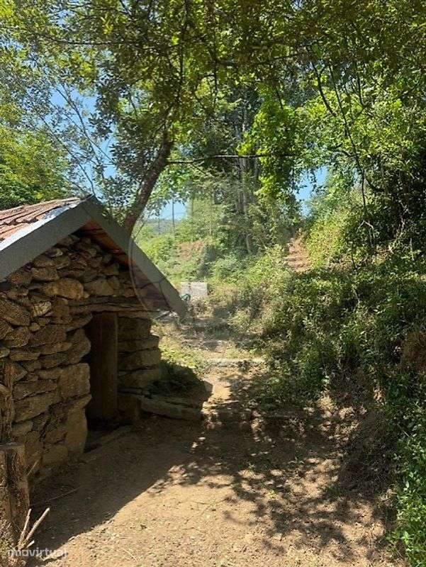 Quinta  para venda - Grande imagem: 3/15