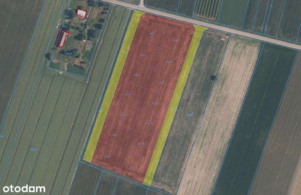 Działki budowlane od 10 do 15 arów koło Zbuczyna-5