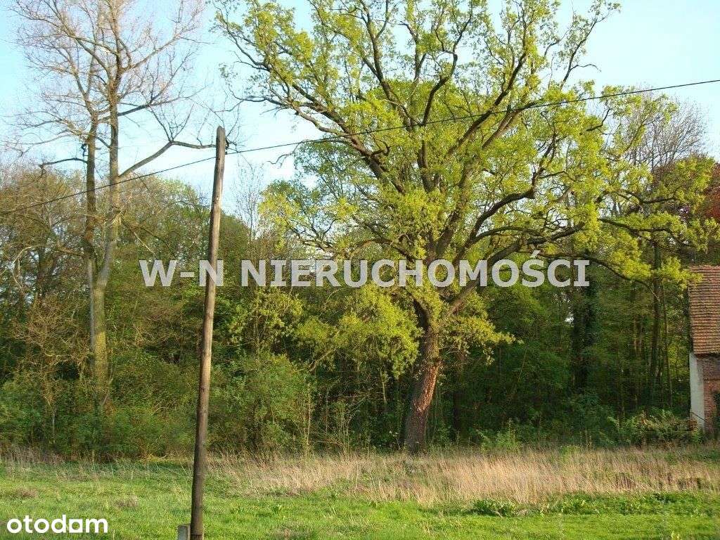 Działka Sobolice - Bytom Odrzański - Pełny obrazek: 5/6