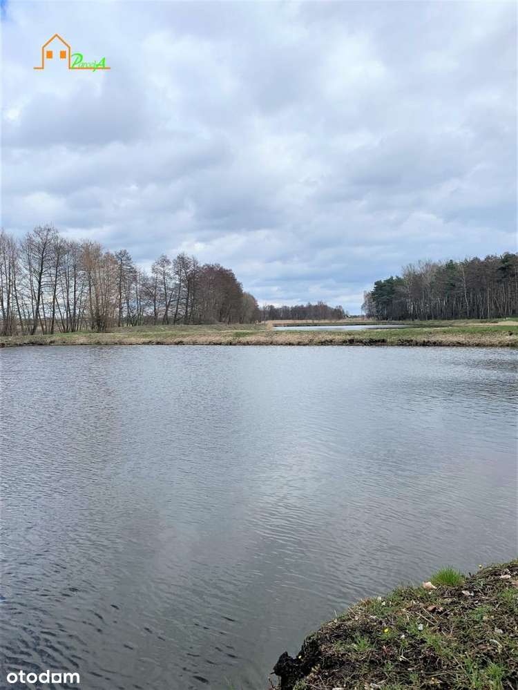 Działka 4,5 ha, trzy stawy - Pełny obrazek: 4/11