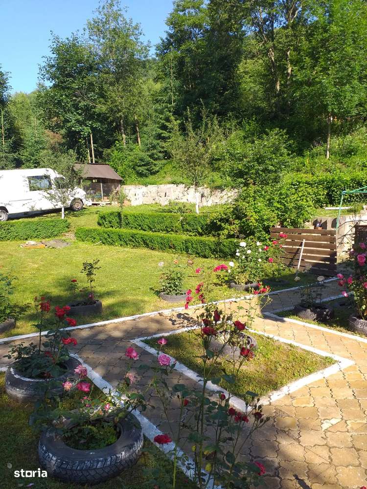 Oferta casa vacanta Vama (campulung Moldovenesc)-0
