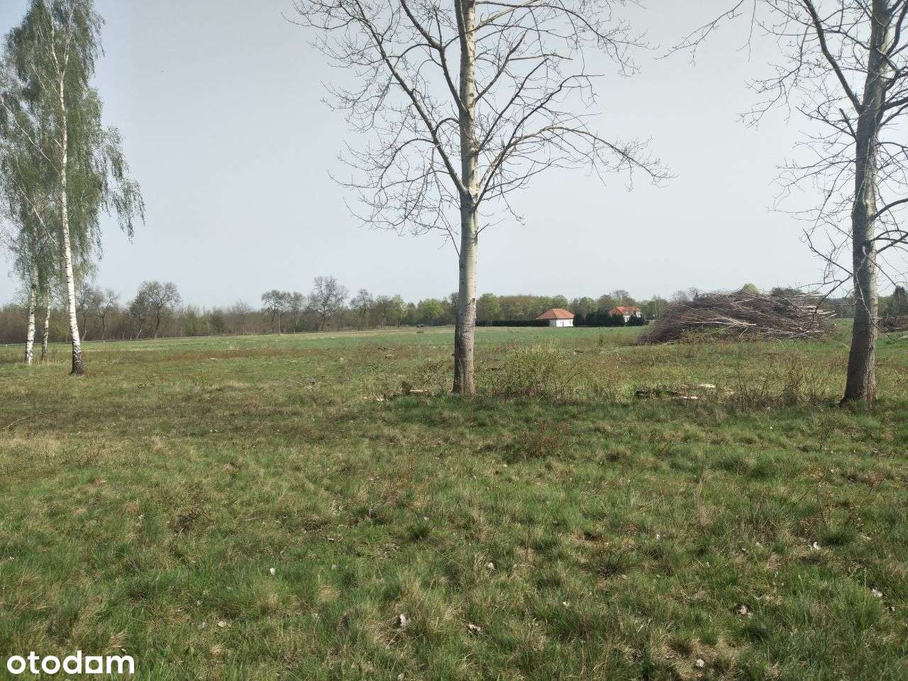 Działka inwestycyjna w m. Lipinki Łużyckie-12