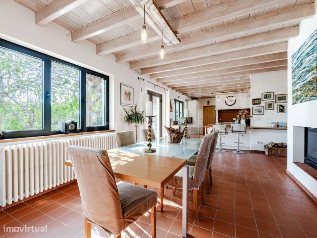 Excecional Quinta para Turismo Rural/Habitação - Entre Tábua e Oliv...-13