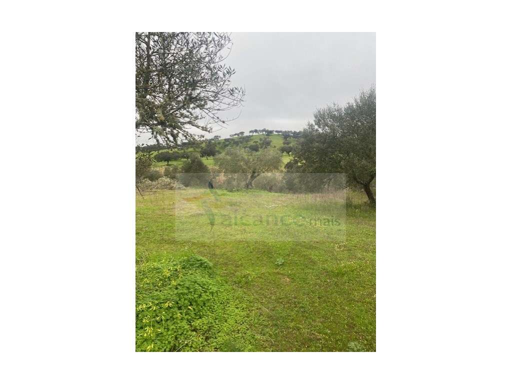 Terreno Misto em Vila Verde de Ficalho - Serpa (Beja, Portugal)-9