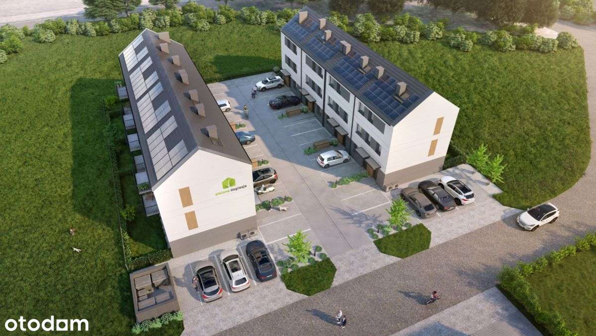 Zielona Daglezja dla Inwestora i nie tylko-7