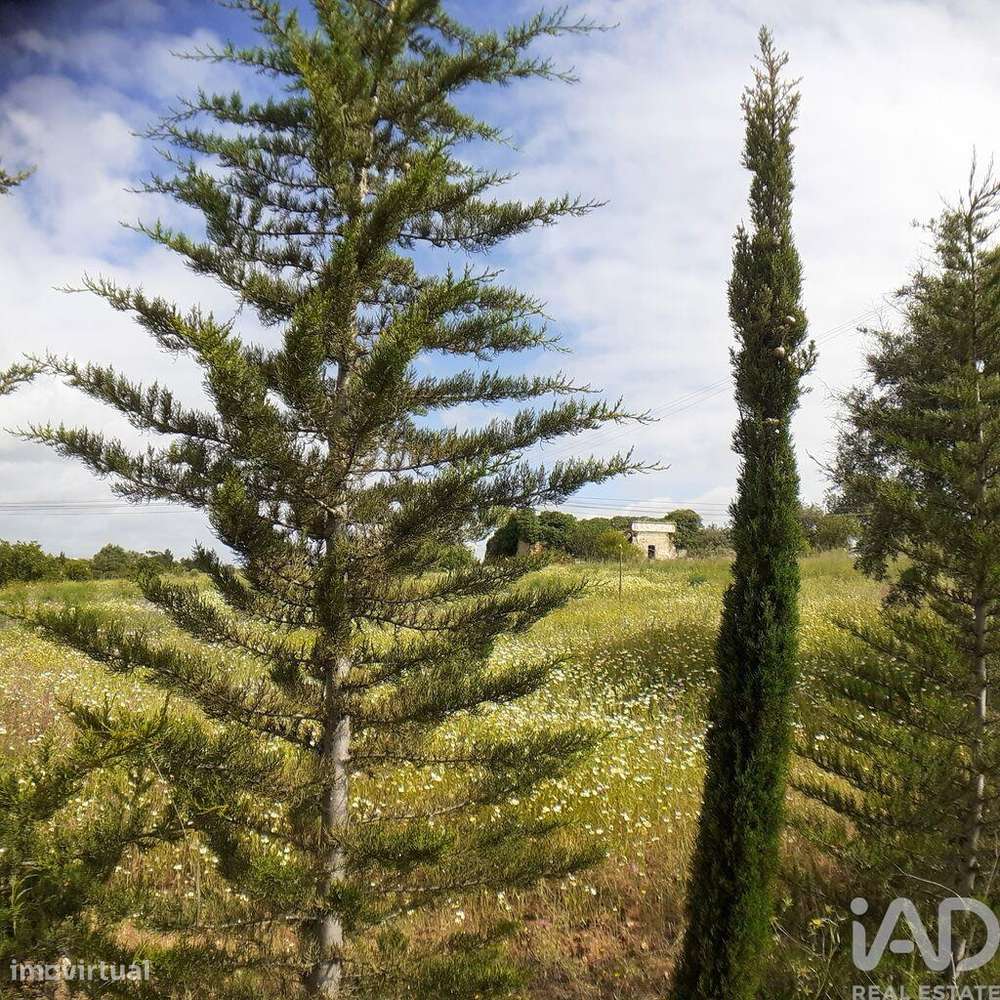 Terreno para construção em Tavira (Santa Maria e Santiago) de 31269,00 - Grande imagem: 3/8