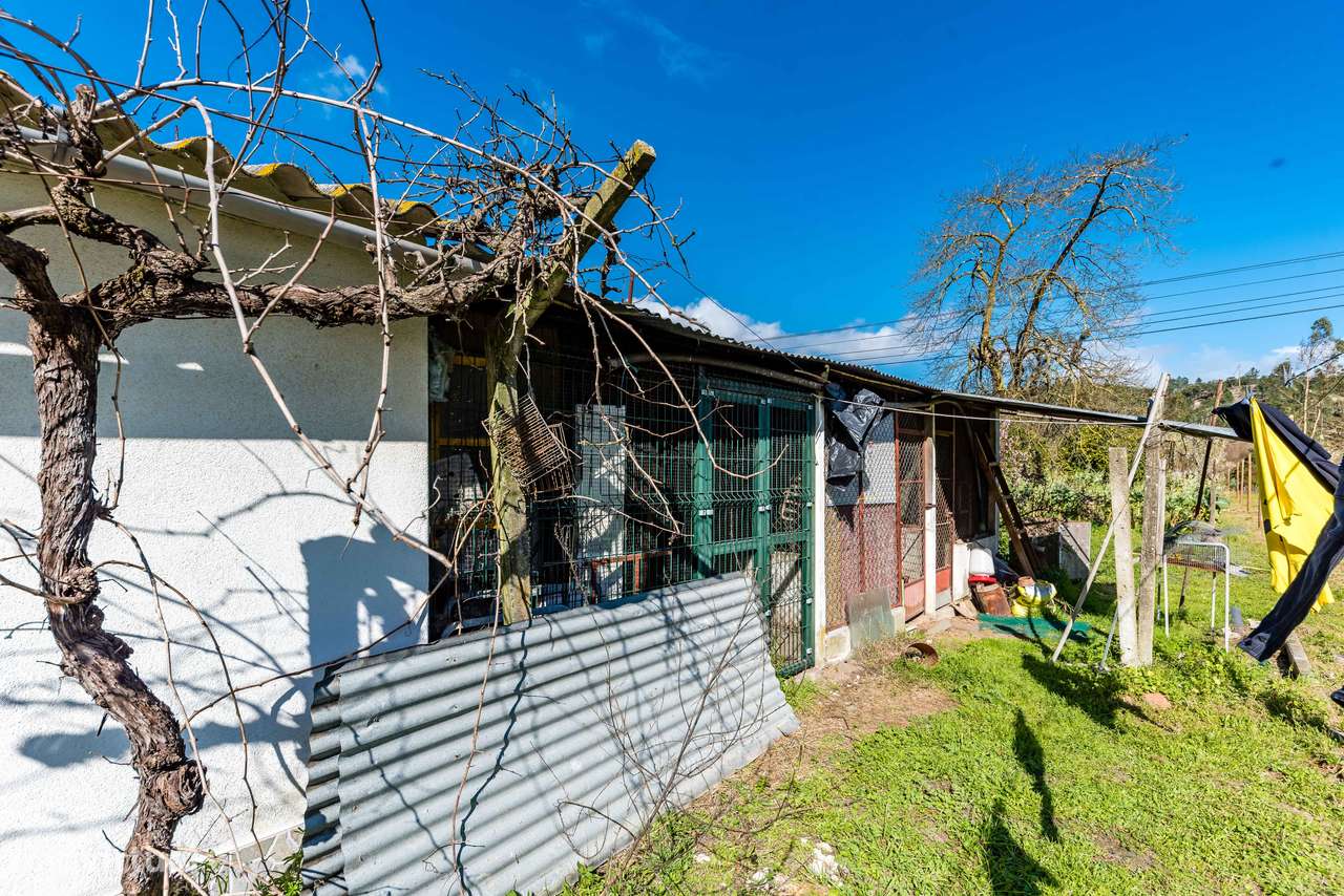 MORADIA T1 + ANEXOS E TERRENO | BEMPOSTA | ABRANTES-32