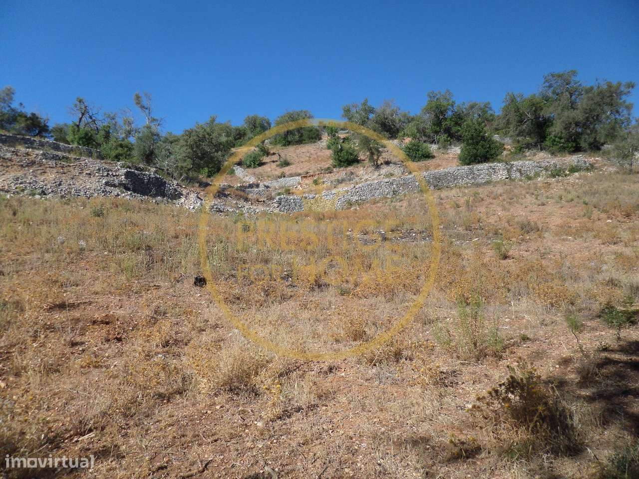 Terreno, 1 410 m², Boliqueime-3