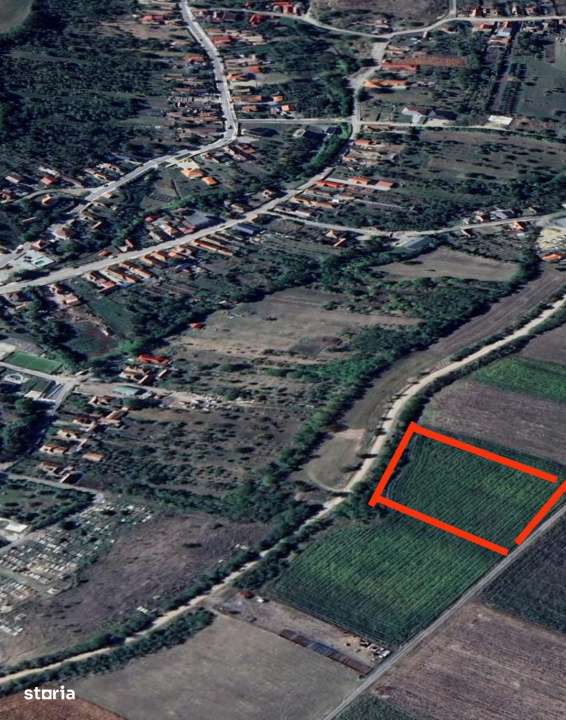 COMISION 0%!!! Teren intravilan, 5800 mp, in Sandulesti - Imagine principală: 3/4