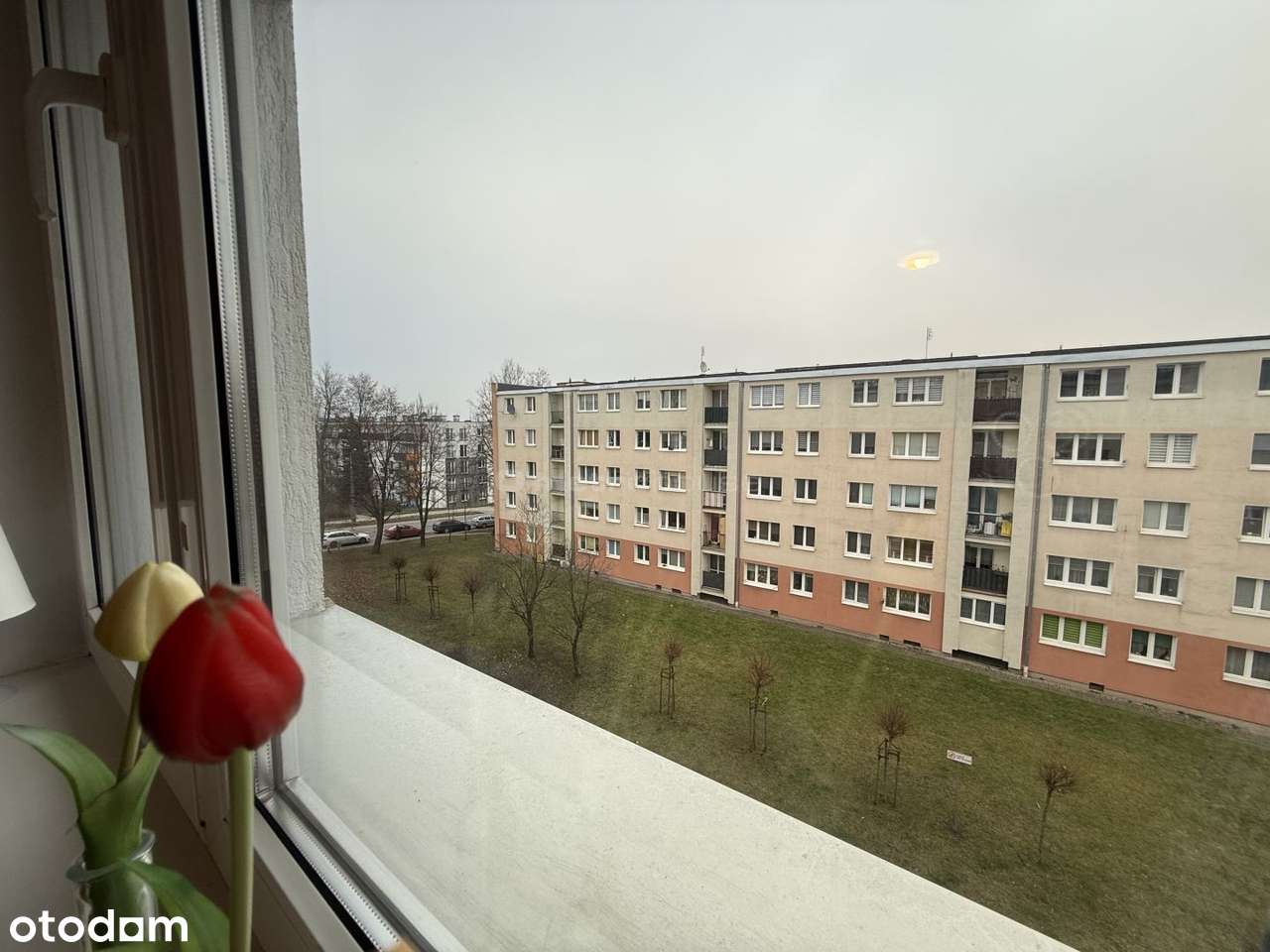 Mieszkaj w centrum-kawalerka w topowej lokalizacji - Pełny obrazek: 5/9