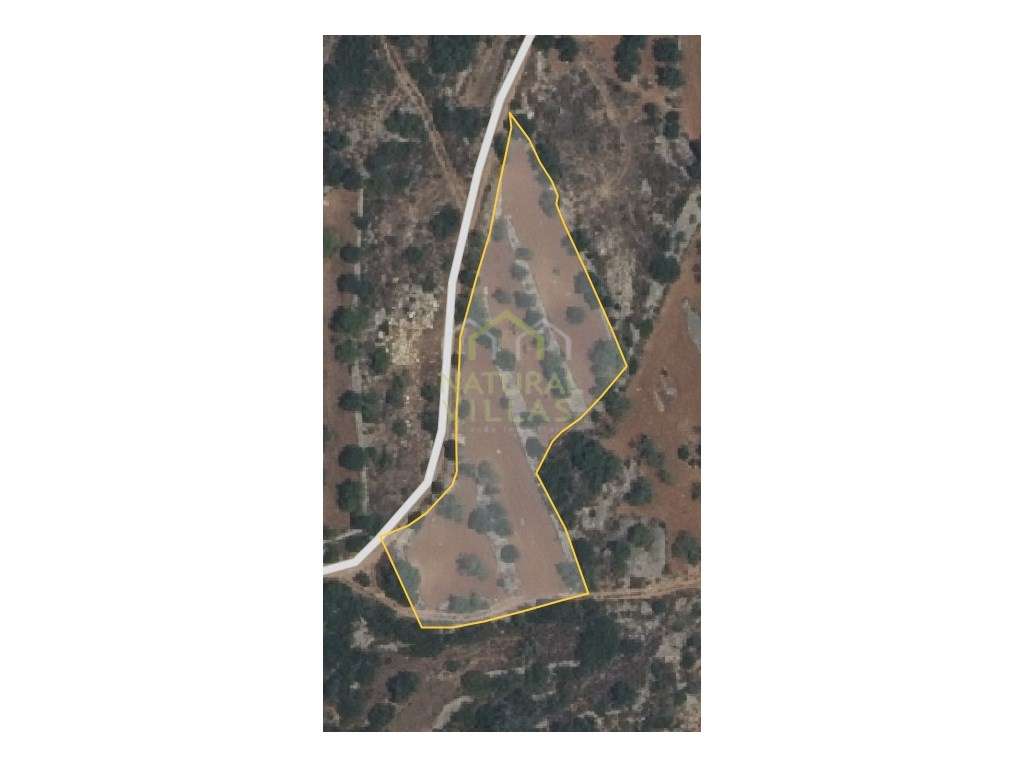 Terreno Rústico de 3.280m² em Azinheiro, Estoi - Grande imagem: 5/5