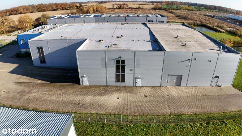 Hala produkcyjna - Leśnica, Wrocław. Dostępna od ręki, Vat do zwrotu - Pełny obrazek: 3/19