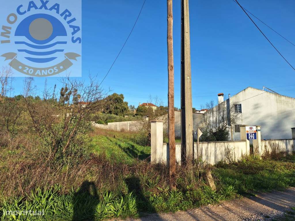 Terreno para construção-Mata - Grande imagem: 5/6