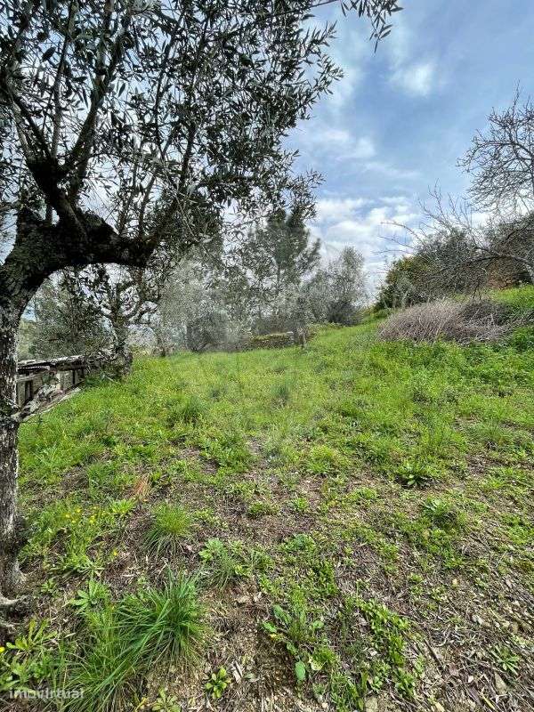 Terreno  para venda - Grande imagem: 5/11