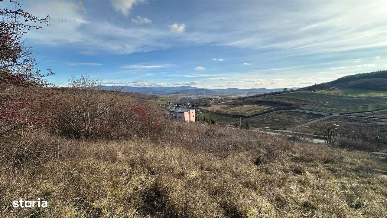 Teren Intravilan Dealu Jelnei - 15.2 ari-4