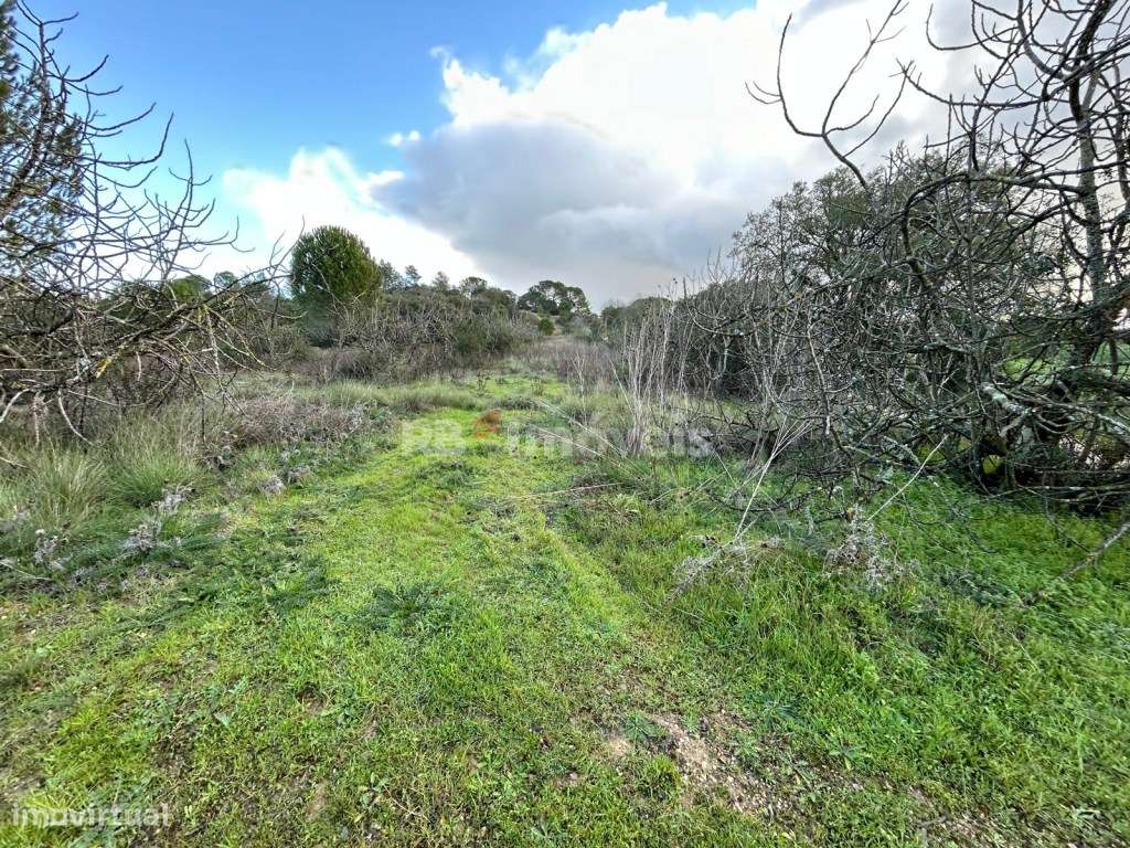 Terreno rústico com 7120m2 - Corujo, Tomar - Grande imagem: 5/43