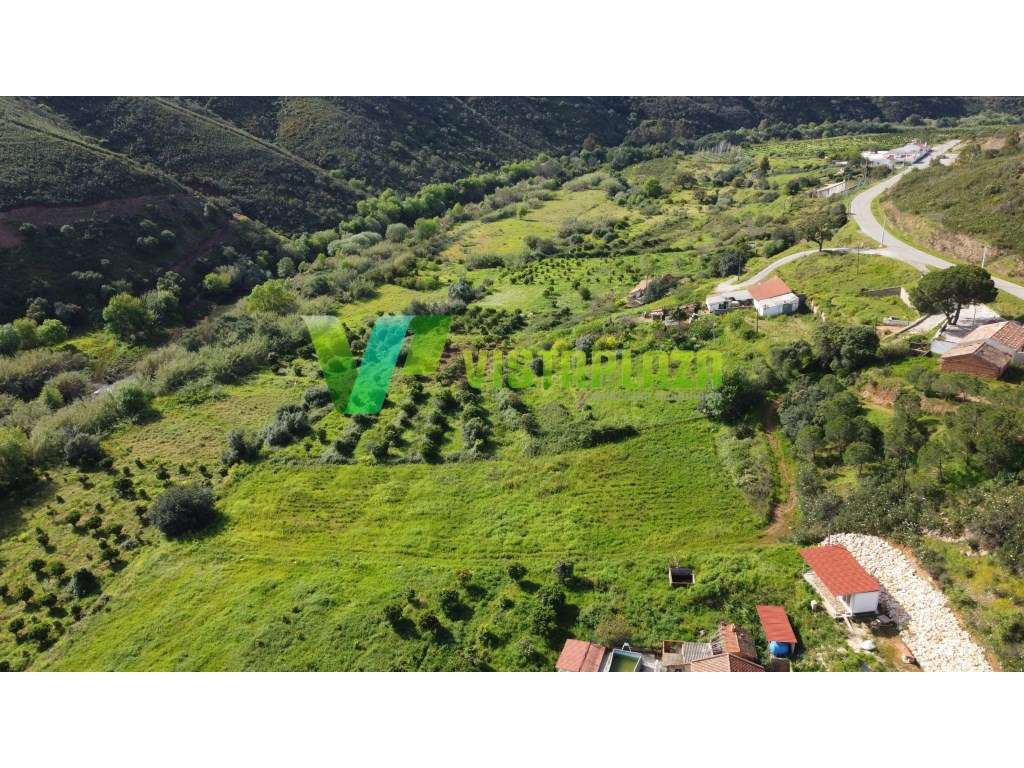 Terreno com Ruina 10 ha com Linda vista Sobre a Serra, Monchique. - Grande imagem: 4/19