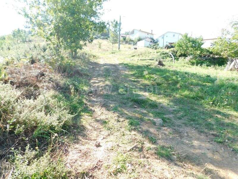 Terreno / Seia, Seia, São Romão e Lapa dos Dinheiros - Grande imagem: 4/7