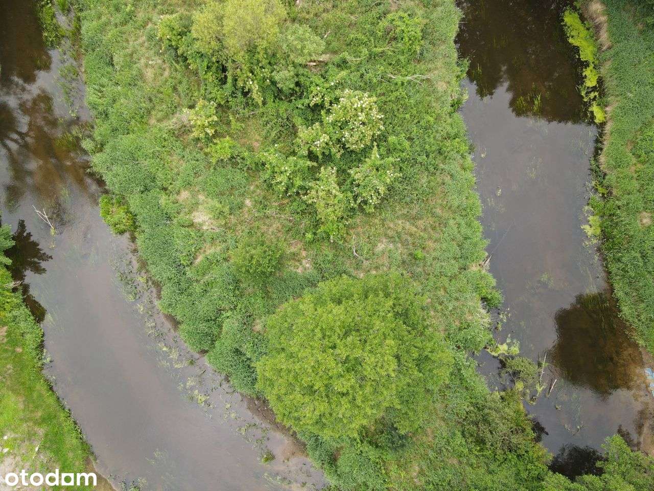 Działki budowlane na wsi - WODOCIĄG - SPRZEDAM - Pełny obrazek: 5/11