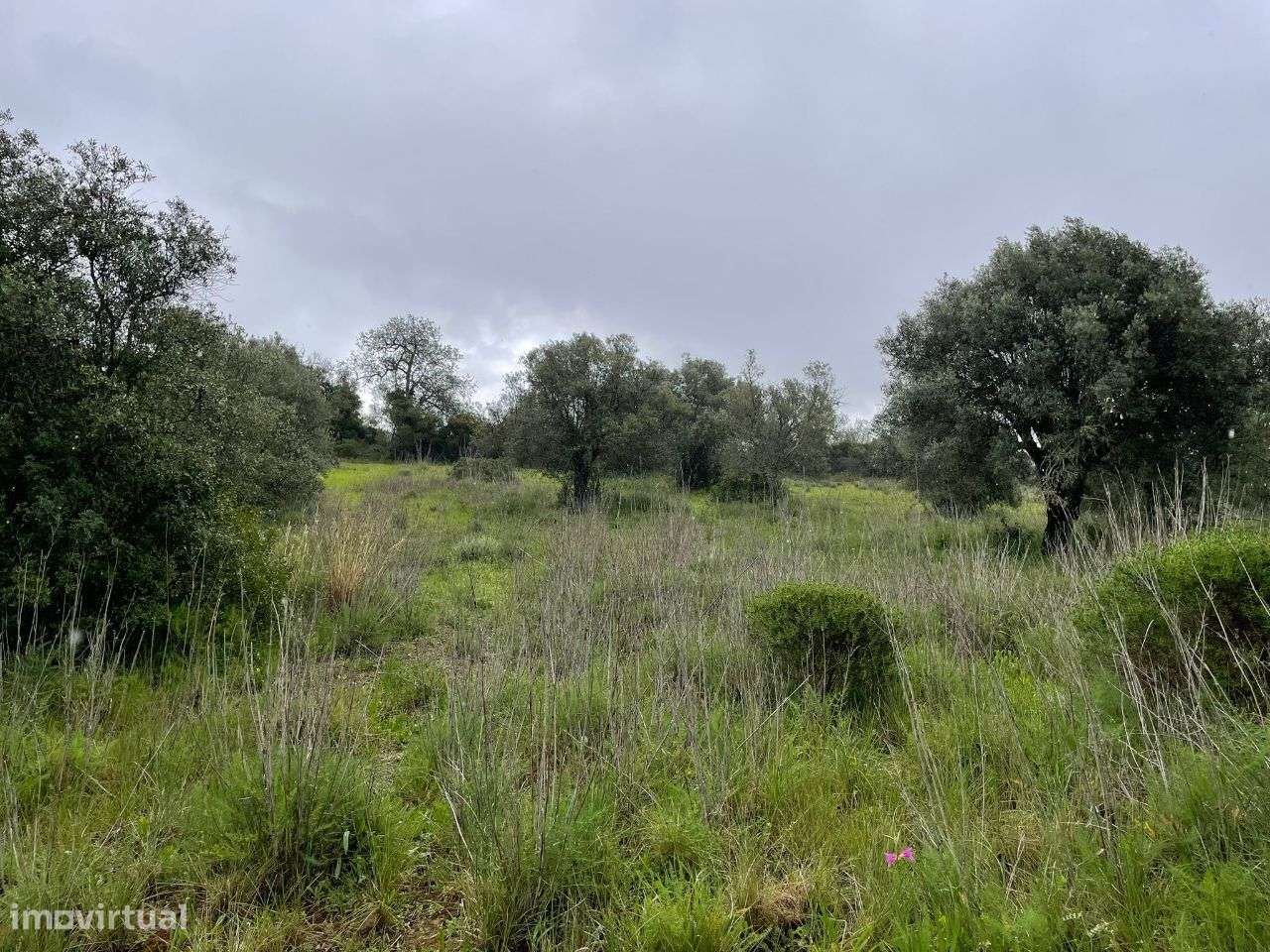 Terreno Rustico em torre Apra- Loule-6