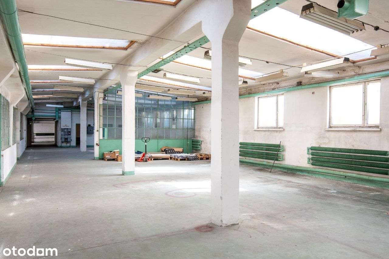 Hala magazynowo-produkcyjna - Pełny obrazek: 2/13