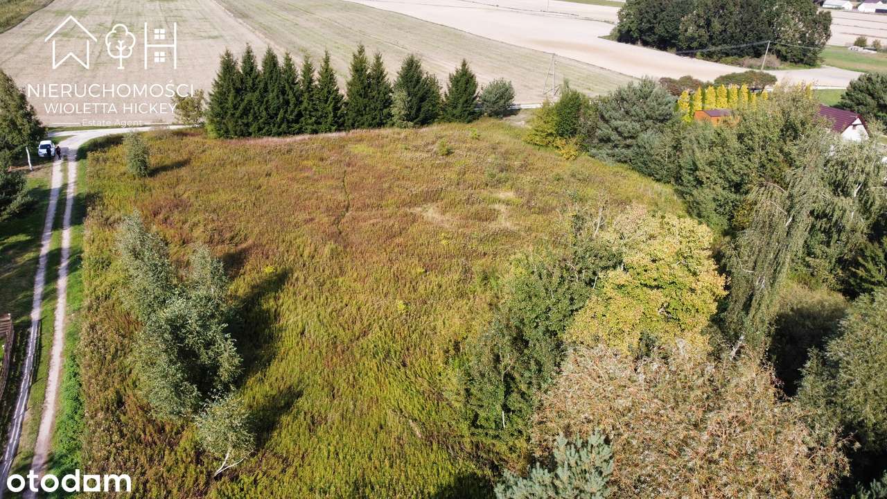 2 Działki w otoczeniu drzew – Wyszyna, gmina Stara Biała k Płocka-7