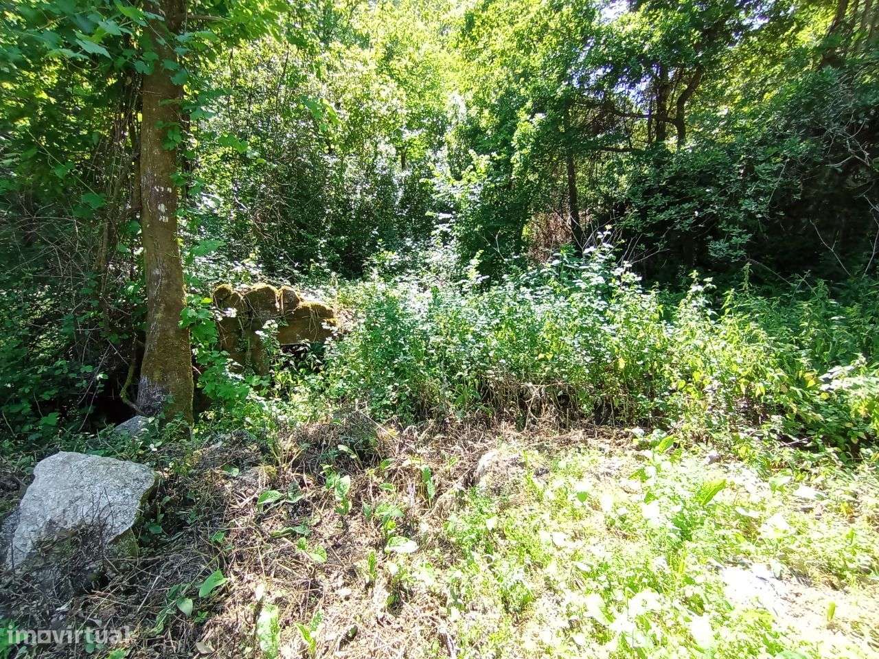 Terreno para construção em Travassós - Fafe - Grande imagem: 4/20