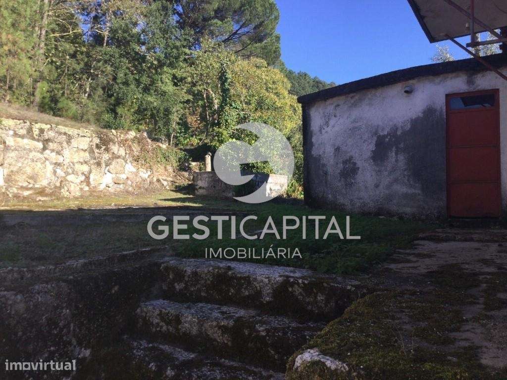 Quinta com vista rio Tâmega e duas moradias para recuperar-6