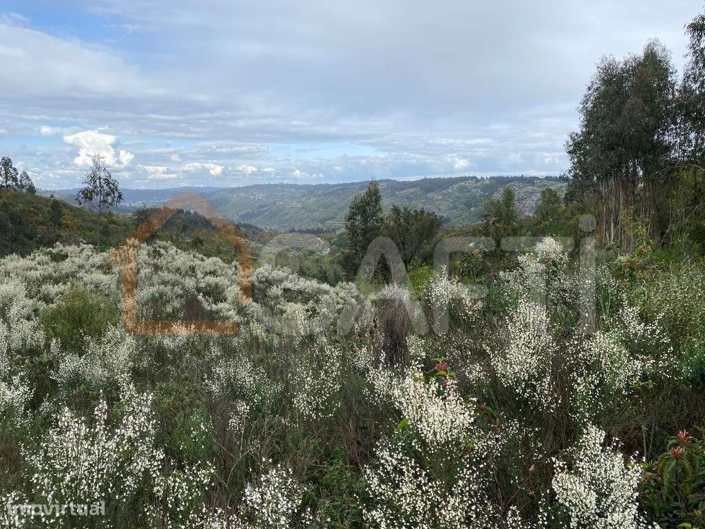 Terreno rústico junto a Anta Vende-se 360 m2 40 000€ TND - Grande imagem: 4/14