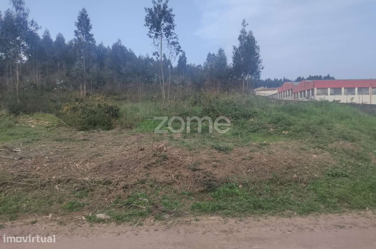 Terreno com 8000 m2 para construção - São Romão Coronado - Grande imagem: 5/9