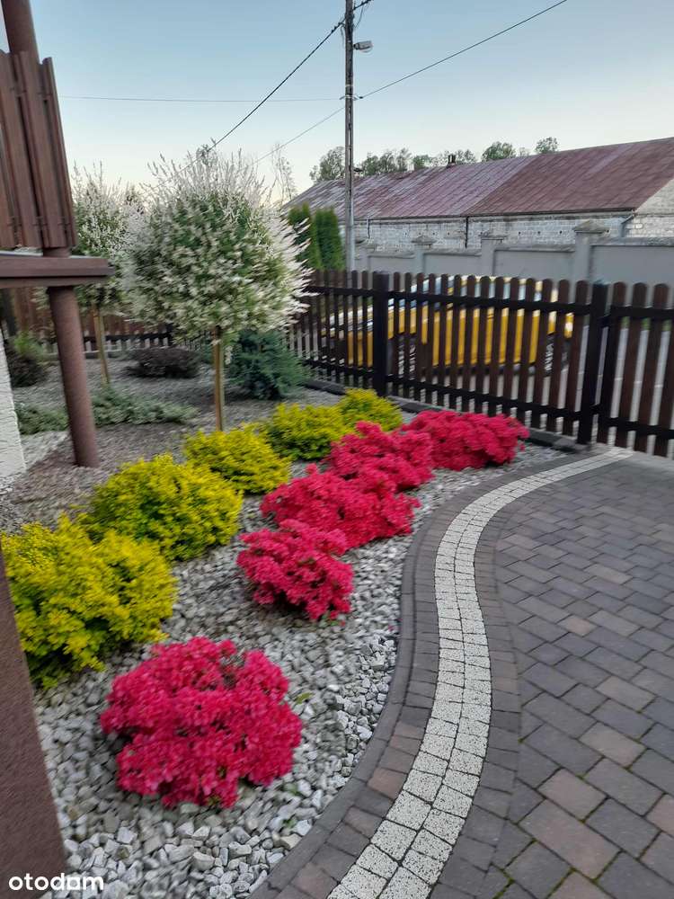 Dom z ogrodem w spokojnej okolicy - Pełny obrazek: 4/19