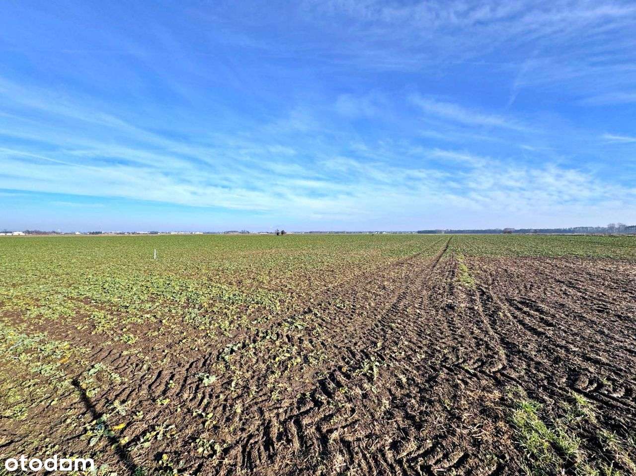 Działka Budowlana, Zielona Okolica | Obłaczkowo-4