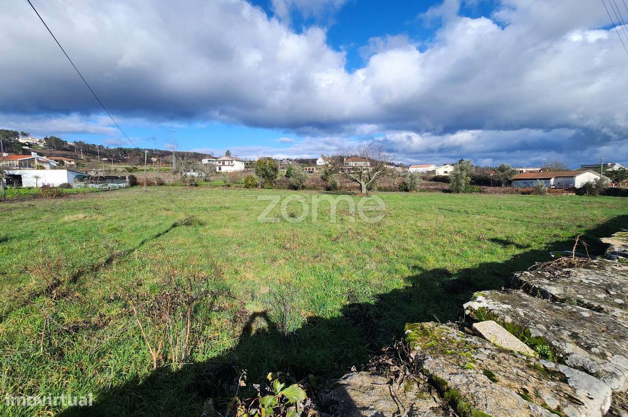 Terreno Rústico com Forte Potencial de Construção–São Martinho d'An... - Grande imagem: 5/15