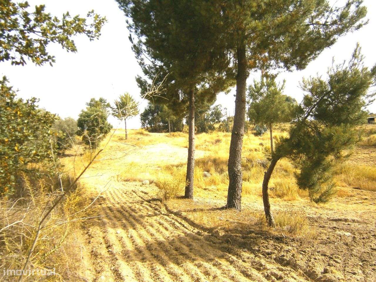 Quinta - Grande imagem: 3/12