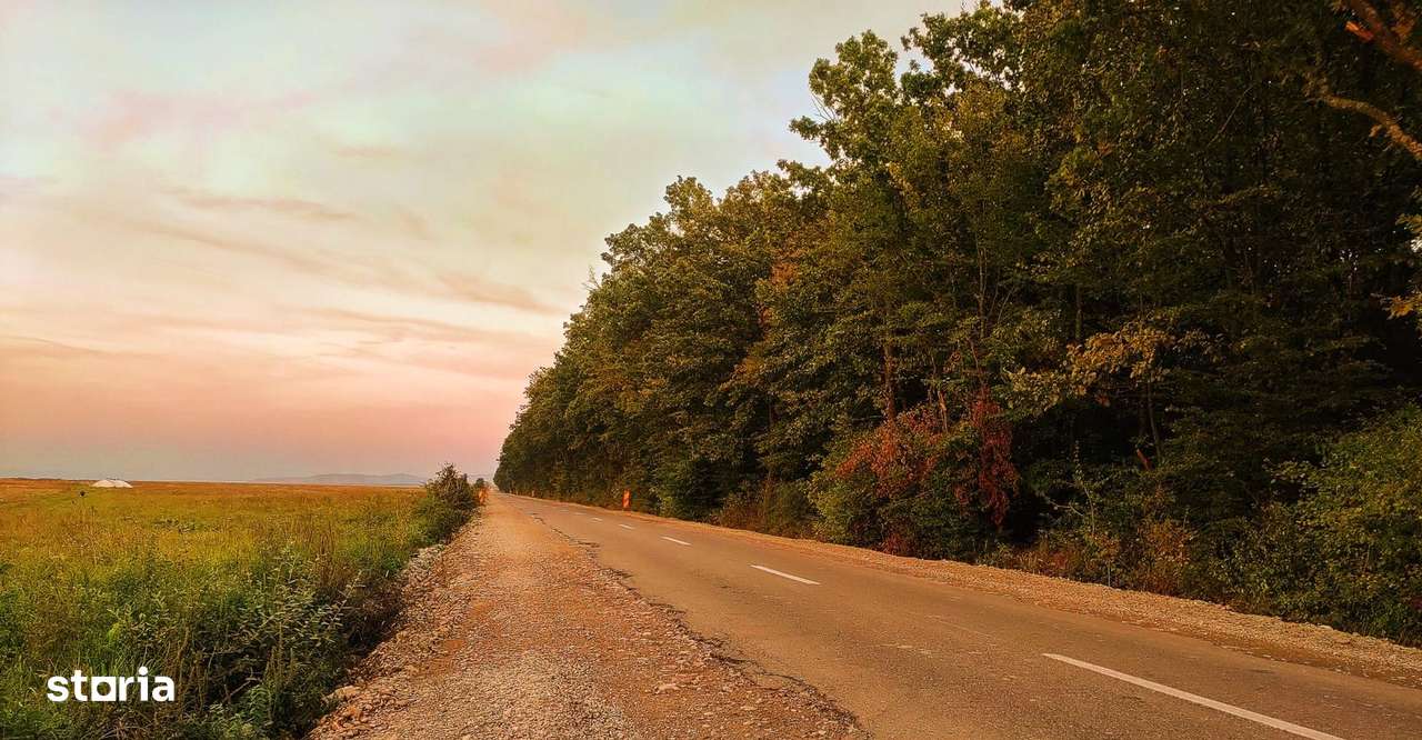 Terenuri , Alparea, intravilan , vis-à-vis de pădure |  15 €/mp - Imagine principală: 5/9