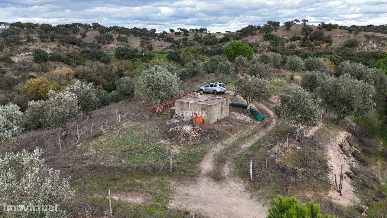 Terreno Rústico  7240 m2 , com água da rede , Ciborro - Grande imagem: 5/13