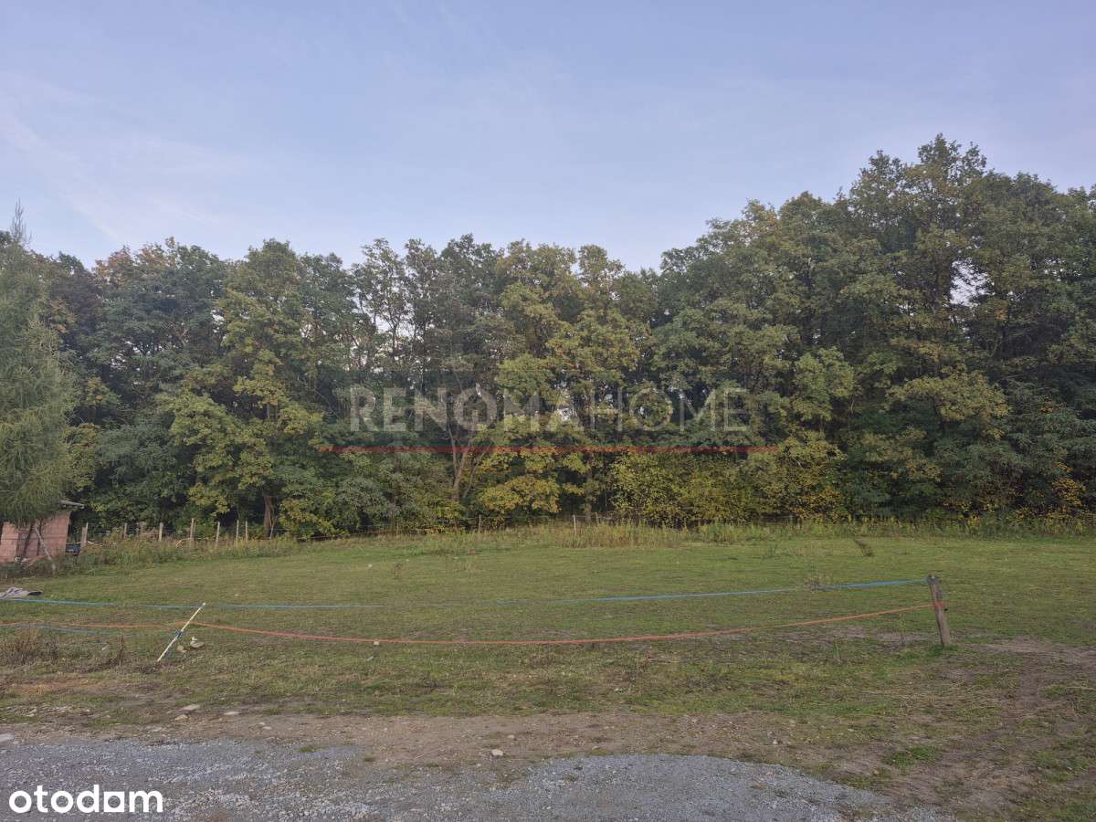 Działka budowlana granicząca z lasem - Pełny obrazek: 4/6