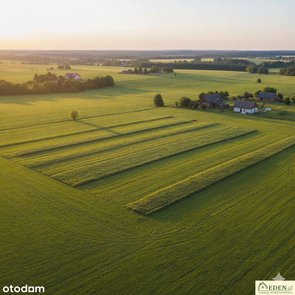 Działka, 1500.0 m², Sarnów-0